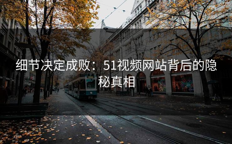 细节决定成败：51视频网站背后的隐秘真相