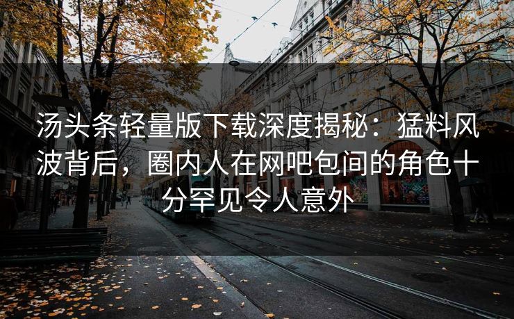 汤头条轻量版下载深度揭秘：猛料风波背后，圈内人在网吧包间的角色十分罕见令人意外