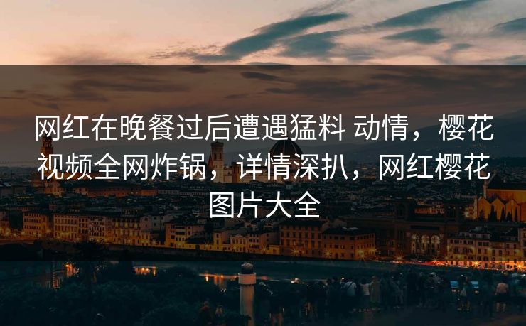 网红在晚餐过后遭遇猛料 动情,樱花视频全网炸锅,详情深扒,网红樱花图片大全 网红在晚餐过后遭遇猛料 动情,樱花视频全网炸锅,详情深扒,网红樱花图片大全